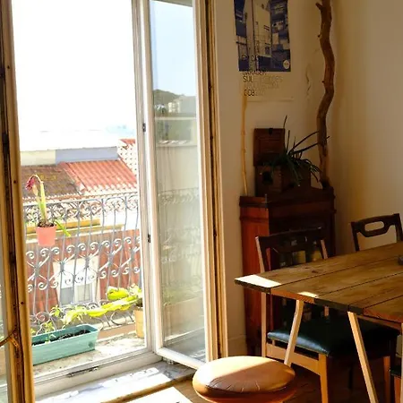 Sunny Urban Oasis Lizbona