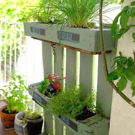 Apartament Sunny Urban Oasis *