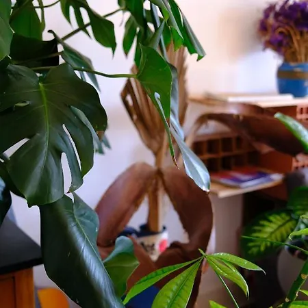 Apartament Sunny Urban Oasis Lizbona