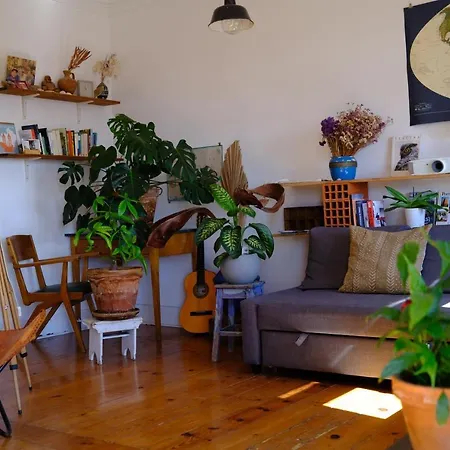 Apartament Sunny Urban Oasis