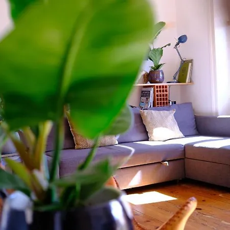Sunny Urban Oasis Lizbona