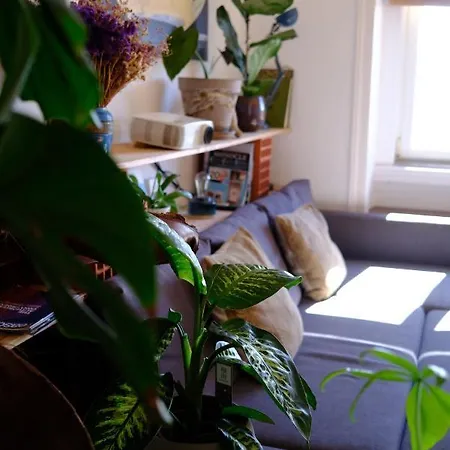 Sunny Urban Oasis Apartament *