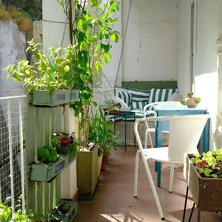Sunny Urban Oasis