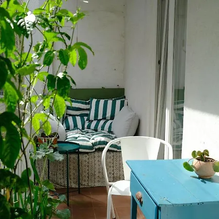 Sunny Urban Oasis